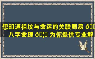 想知道祖坟与命运的关联周易 🐠 八字命理 🦋 为你提供专业解答！